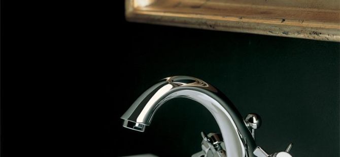 Grifo cromado: la mejor opción para la disposición del baño y la cocina (22 fotos)