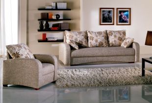 Kính viễn vọng sofa trong nội thất: tính năng thiết kế và tùy chọn thiết kế (22 ảnh)