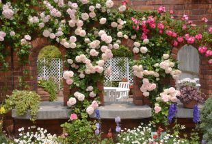 Τριαντάφυλλα στον εξωραϊσμό (52 φωτογραφίες): ο σωστός και όμορφος σχεδιασμός του κήπου