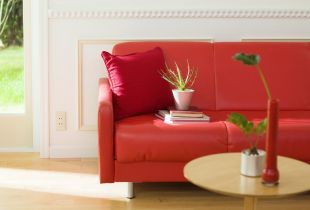 Κόκκινο καναπέ: φωτεινό προφορά σε ένα μοντέρνο εσωτερικό (27 φωτογραφίες)