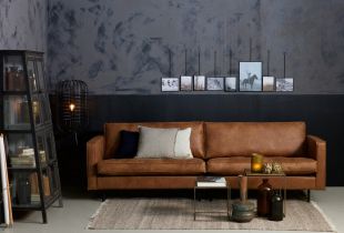 Avantatges i característiques d'un sofà en un marc metàl·lic (23 fotos)