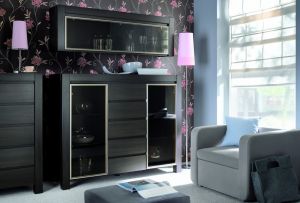 Stue wenge: asketisk luksus (24 fotos)