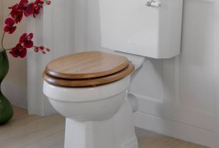 Toalettsete - en enkel enhet med uvanlige funksjoner (25 bilder)