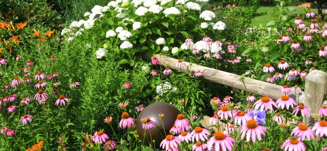 Přední zahrada: důležité funkce (30 fotografií)