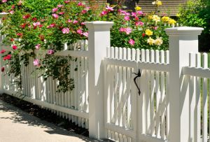 Diseño de puertas y puertas de la casa (50 fotos): opciones hermosas y prácticas