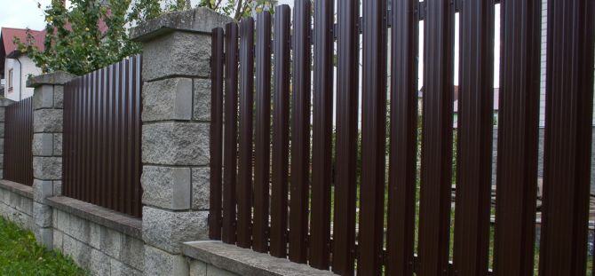 Hàng rào từ một hàng rào: các loại chính, ưu điểm và nhược điểm của chúng (26 ảnh)