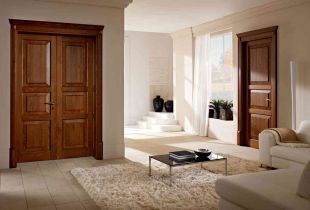 Doors from the massif: advantages and features (23 photos)