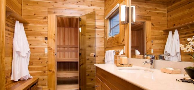 Glass doors for a sauna: design features (22 photos)