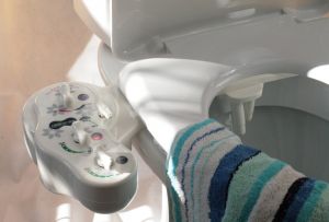Oversikt over toaletter med en bidet-funksjon (20 bilder)