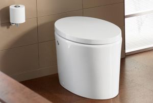 Hovedtypene toaletter: forskjeller og moderne modeller