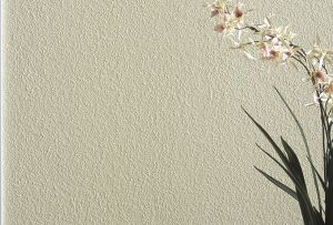 Tapete zum Malen: Typen und Dekor (24 Fotos)