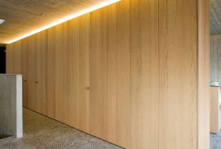 Panels in the interior: a variety of options for creating an original design (27 photos)