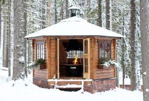 Gazebo med grill: muligheder for dit sommerhus (27 fotos)