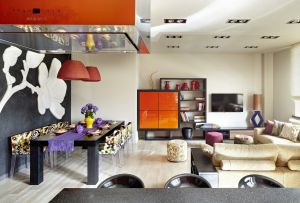 Vanguard i huset: dristige eksperimenter (29 bilder)