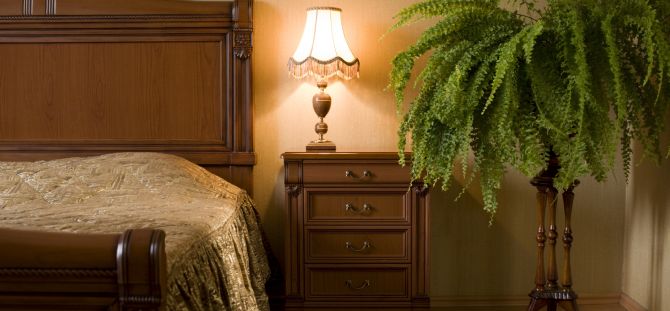 Ziedi guļamistabai: vērtīgi ieteikumi istabas labiekārtošanai (23 foto)