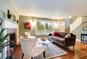 Brun sofa i det indre: farvefunktioner (24 fotos)