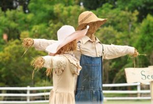 Ένα μοντέρνο σκιάχτρο στον κήπο - ένα κομψό στοιχείο του τοπίου με τη λειτουργία ενός φυτευτή (22 φωτογραφίες)