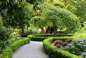 Designet af gårdspladsen i et privat hus: originale ideer, som alle vil synes om (24 fotos)