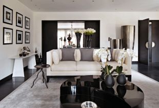 Interior en blanco y negro (50 fotos): combinación elegante y detalles brillantes