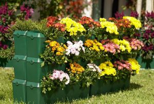 Gjør-det-selv blomsterbed i landet (51 bilder): blomsterdekorasjon og utforming av gjerder