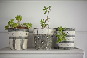 Blomsterpotter: en kompakt have i huset (32 fotos)