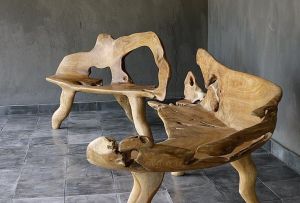 Møbler fra snags: absolut eksklusiv (25 fotos)