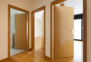 Laminerede døre i det indre: ny tekstur (24 fotos)