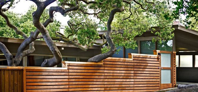 Wooden fence: natural materials on guard of security (23 photos)