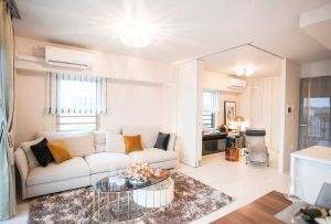 Reguleringsideer: hvordan man vælger områder til forskellige formål på en original måde (109 fotos)