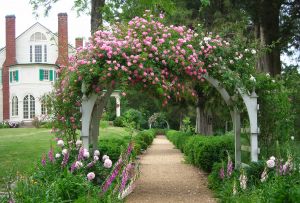 Pergola - en uvanlig dekorasjon av hagen (29 bilder)
