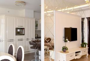 Skillevæggen mellem køkkenet og andre værelser: de mest populære løsninger (90 fotos)