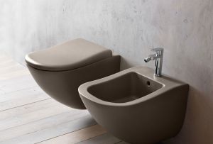 Fargede toaletter: muligheten for fargelegging på badet (22 bilder)