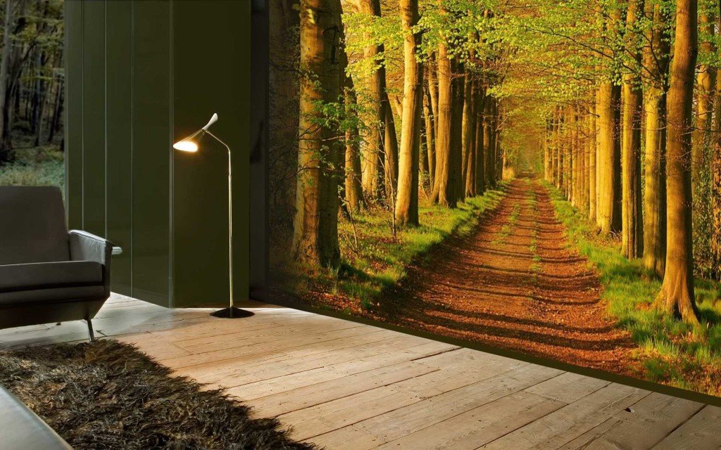 קיר ציורי קיר עם דרך יער