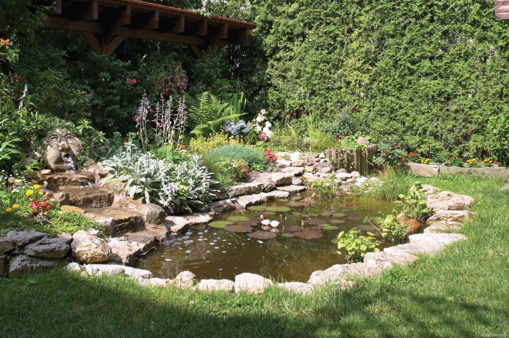Malý záhradný rybník s vodnými lôžkami