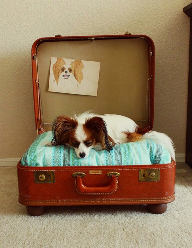 Σκύλος από τη βαλίτσα