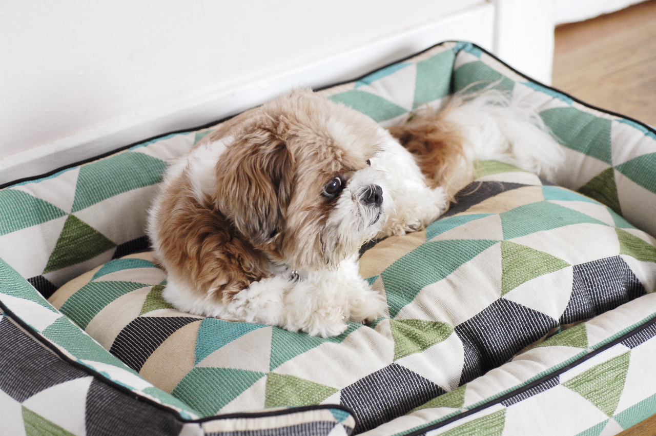 Σκύλος κρεβάτι με γεωμετρικό σχέδιο