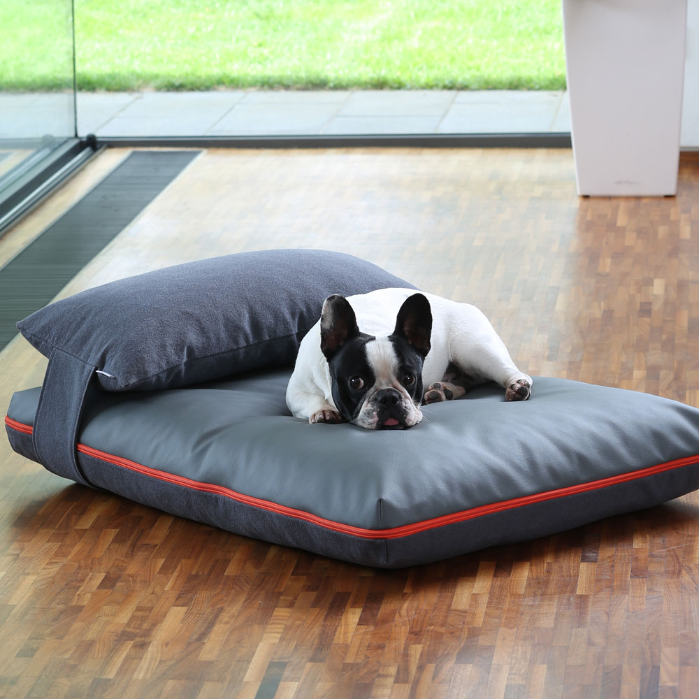 Σκύλος κρεβάτι με μαξιλάρι