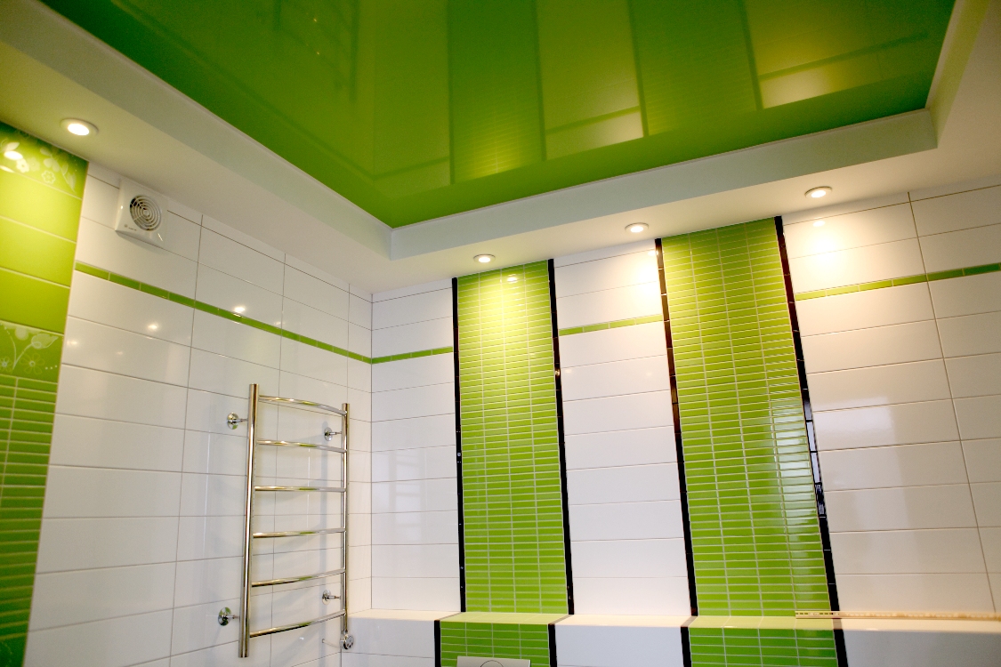 Πράσινη οροφή στο μπάνιο