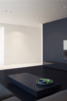 Preto e branco minimalista sala-cozinha interior