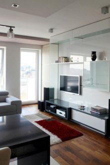 Stylish modern living room