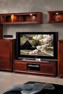 Kiraz için oturma odasında kitaplar ve bir TV için duvar