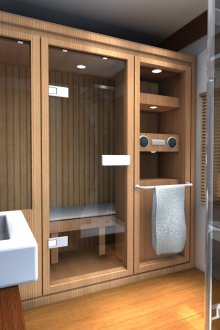 Sauna et douche dans la salle de bain