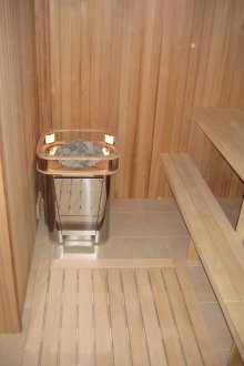 Four dans un boîtier métallique dans un sauna