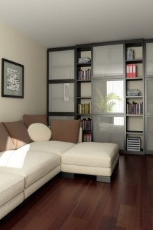 Bookcase in the living room