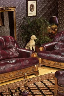Figurenhund im Freien im Wohnzimmer