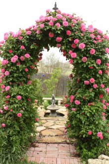 Arco con rose nel design del sito