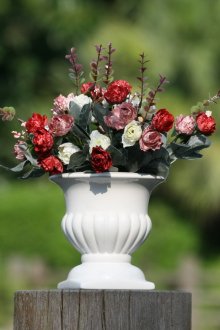Rose in una pentola sulla trama