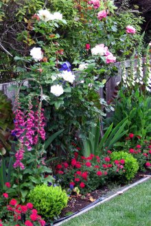 Decorazione della recinzione con rose e altri fiori