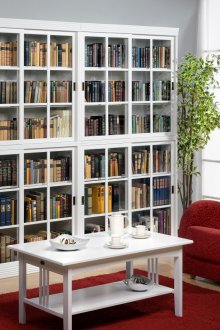 Large bookcase in the living room