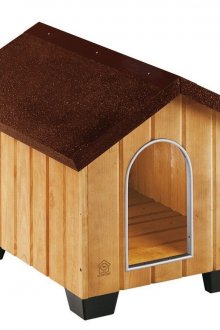 Petite niche pour chien